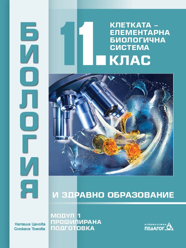 BZO11M1