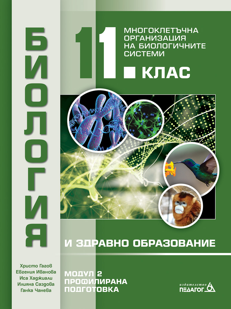 BZO11-M2
