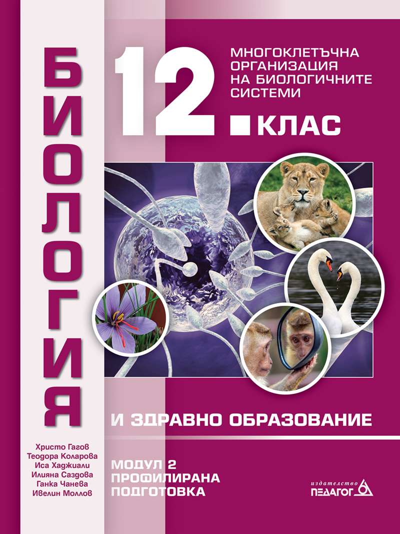 BZO12-M2