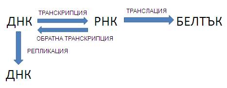 cd2