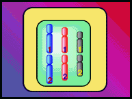 meyoza4