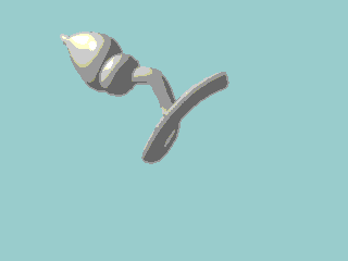 spermatozoidi5